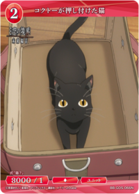 黑桐强塞的猫