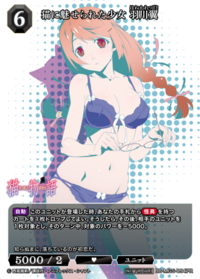 被猫魅惑的少女 羽川翼