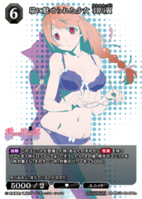 被猫魅惑的少女 羽川翼