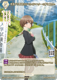 青春猪头少年不会梦到娇怜外出妹