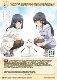 青春猪头少年不会梦到怀梦美少女