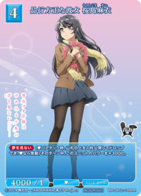 品行方正的女友 樱岛麻衣